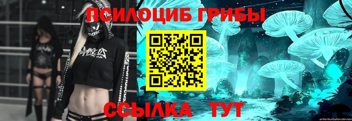 Галлюциногенные грибы прущие грибы Великий Устюг